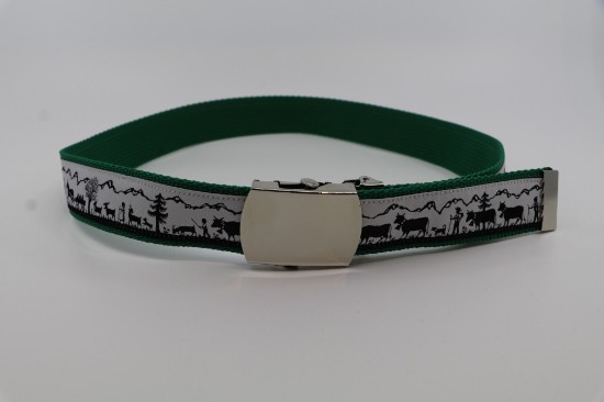 Bild von Kindergurt Alpabzug auf grün