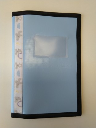 Bild von Umschlag Gesundheitsheft Koala auf hellblau